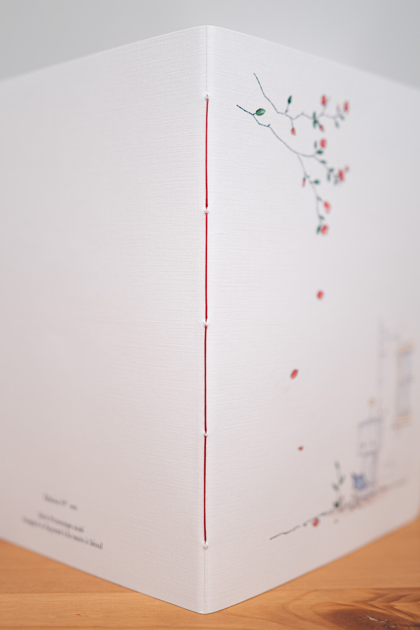 Close view of a Studio Monjo notebook bound with red thread